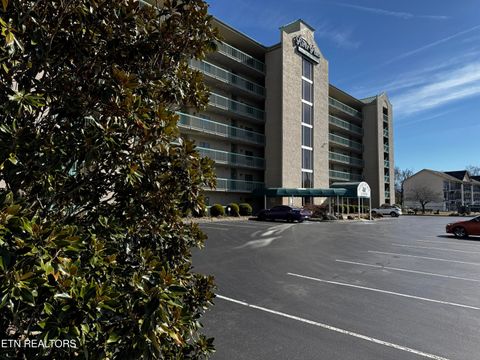 3215 N River Rd STE 307 Pigeon Forge TN 37863