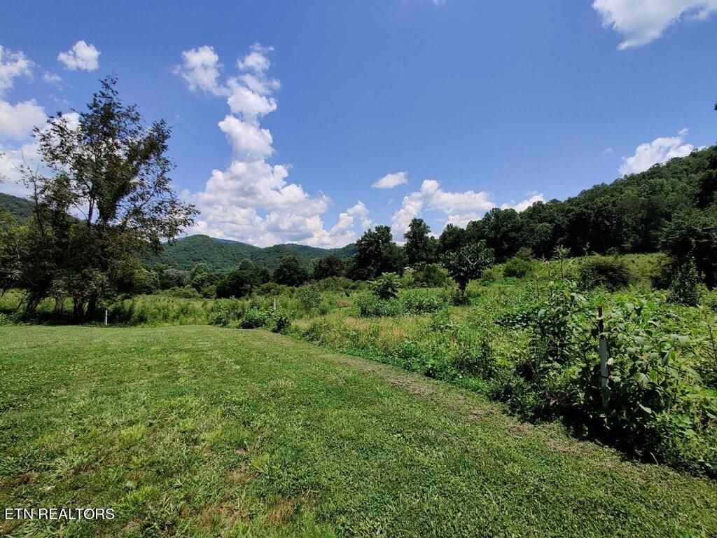 Photo of 161 Tom Henry Rd Rd, Townsend, TN 37882 (MLS # 1251759)