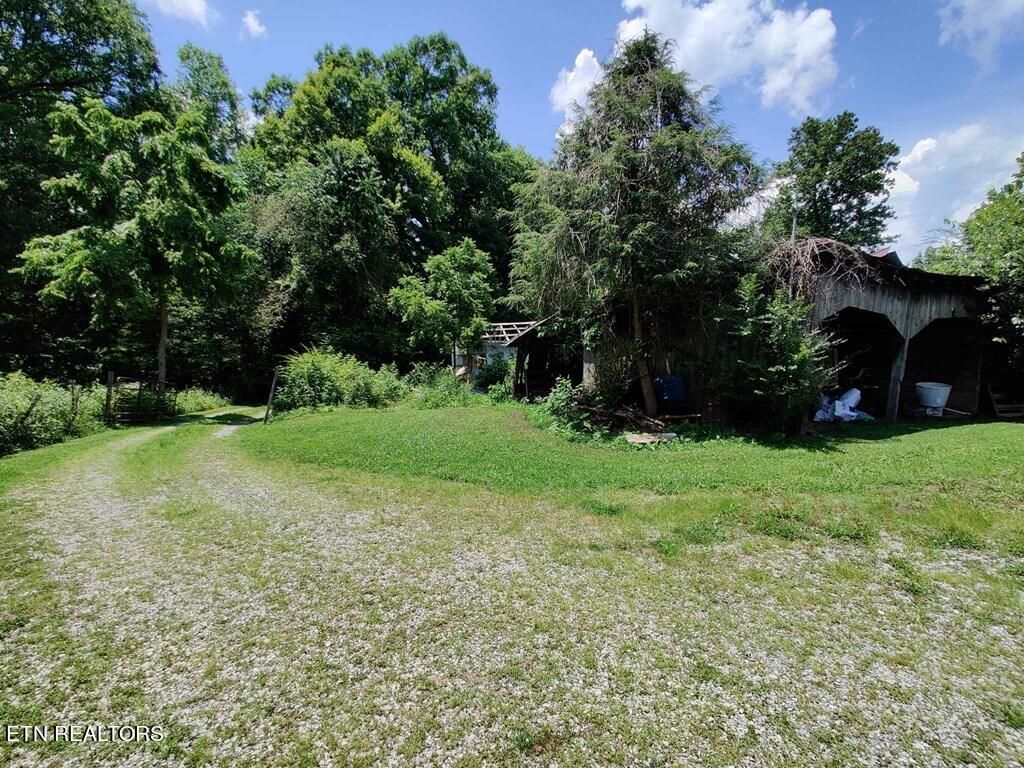 Photo of 161 Tom Henry Rd Rd, Townsend, TN 37882 (MLS # 1251759)