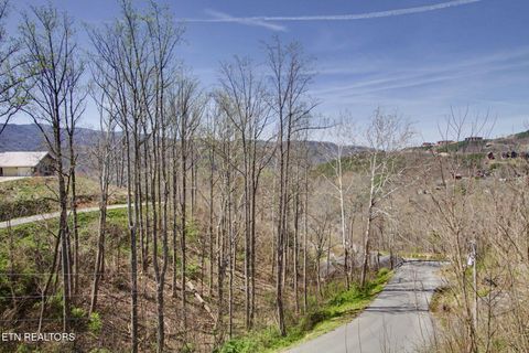 Tiny photo for 309 Tower Rd, Gatlinburg, TN 37738 (MLS # 1334749)