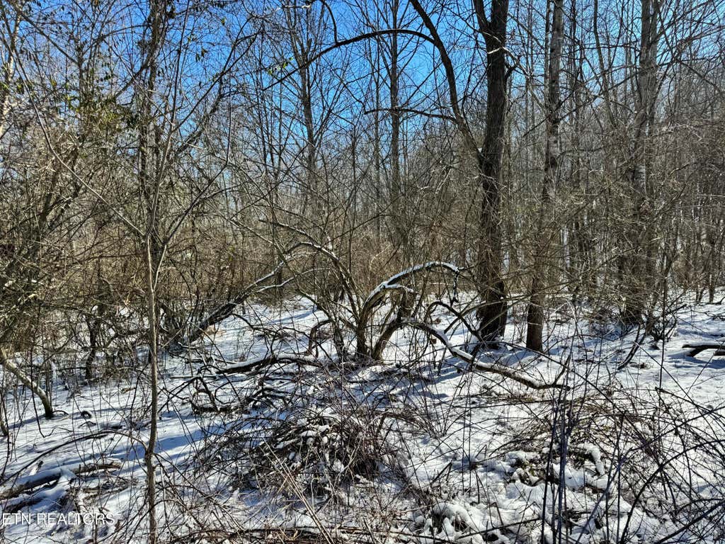 Photo of 0 Hill Ave, Oneida, TN 37841 (MLS # 1290754)