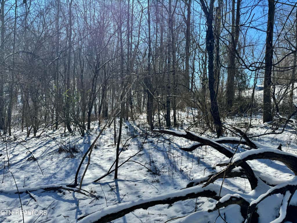 Photo of 0 Hill Ave, Oneida, TN 37841 (MLS # 1290754)