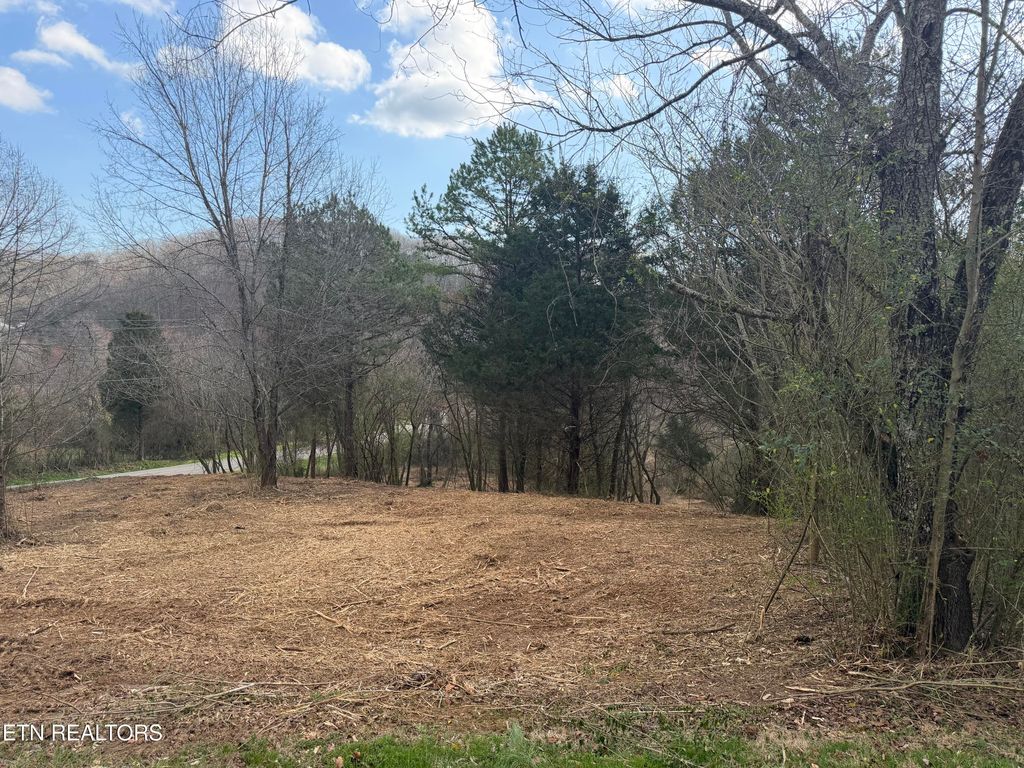 Photo of 100 Oonoga Way, Loudon, TN 37774 (MLS # 1331791)