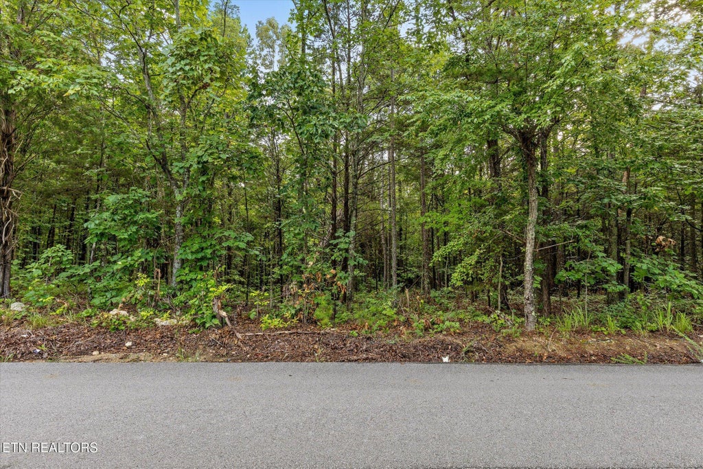Photo of 12712 Cranfield Rd, Birchwood, TN 37308 (MLS # 1351047)
