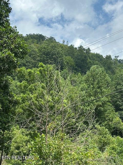 100 Knot Hole Rd