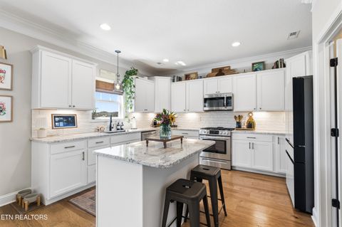 Tiny photo for 2059 Farm Blvd, Sevierville, TN 37876 (MLS # 1335268)