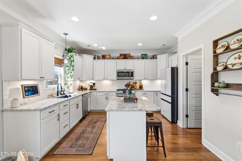 Tiny photo for 2059 Farm Blvd, Sevierville, TN 37876 (MLS # 1335268)