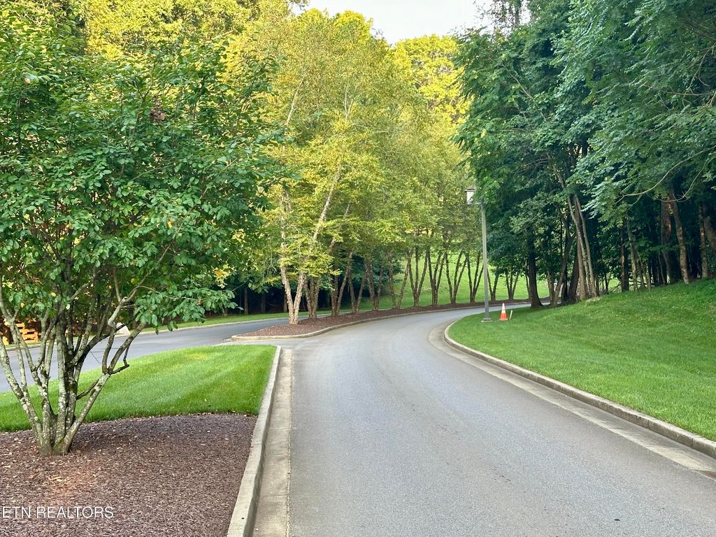 Photo of 551 Firefly Drive, Loudon, TN 37774 (MLS # 1306986)