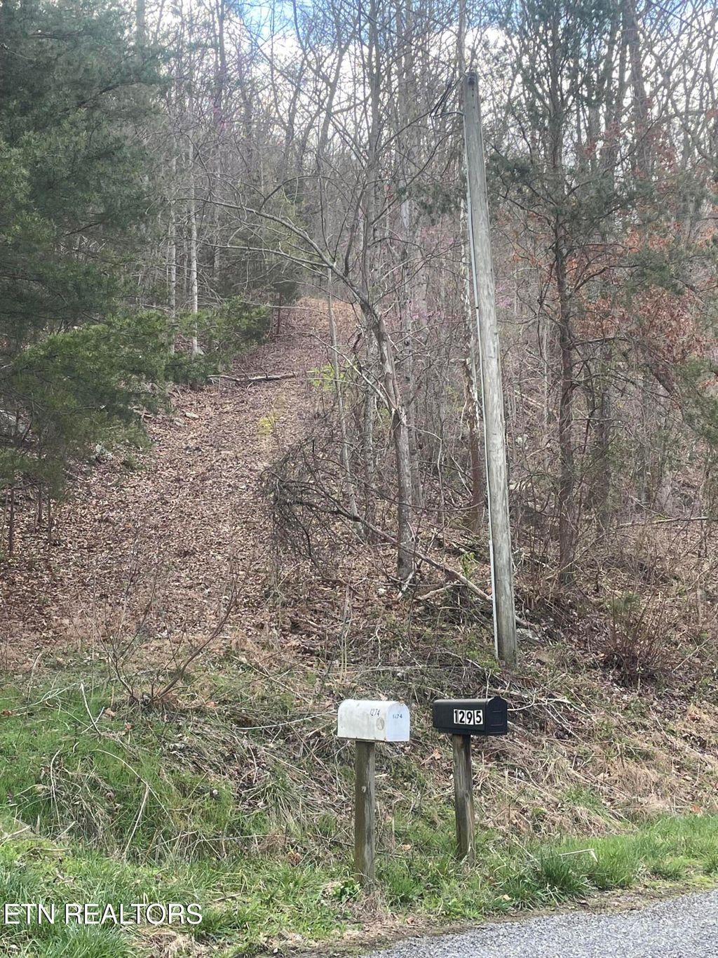 Photo of 1295 Sussex Rd, Dayton, TN 37321 (MLS # 1333453)