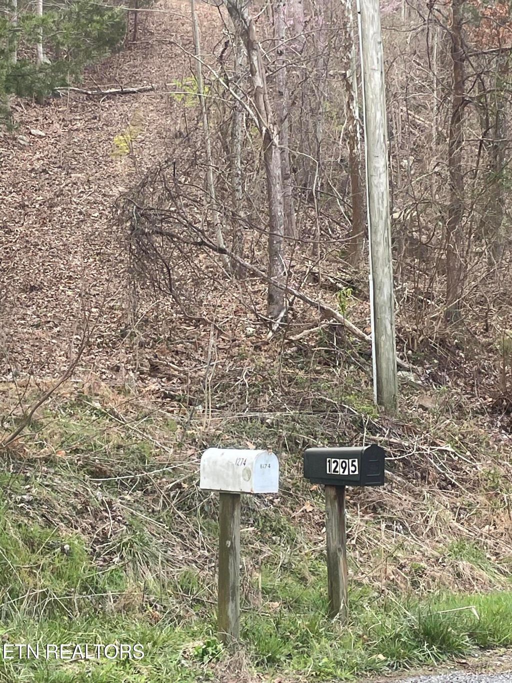 Photo of 1295 Sussex Rd, Dayton, TN 37321 (MLS # 1333453)