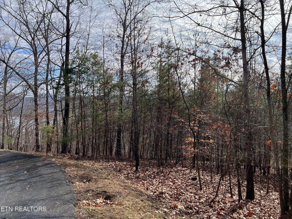 Photo of 1412 Echota Lane, Mooresburg, TN 37811 (MLS # 1307114)