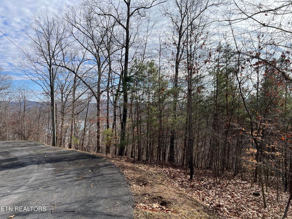 Photo of 1412 Echota Lane, Mooresburg, TN 37811 (MLS # 1307114)