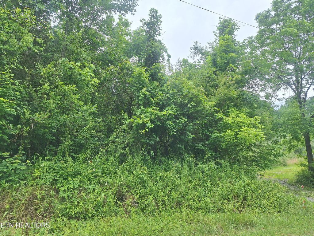 Photo of 274278 Laurel Mountain Loop, Madisonville, TN 37354 (MLS # 1302264)