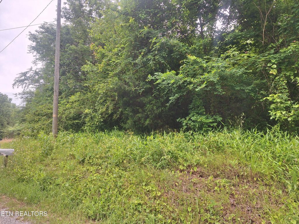 Photo of 274278 Laurel Mountain Loop, Madisonville, TN 37354 (MLS # 1302264)