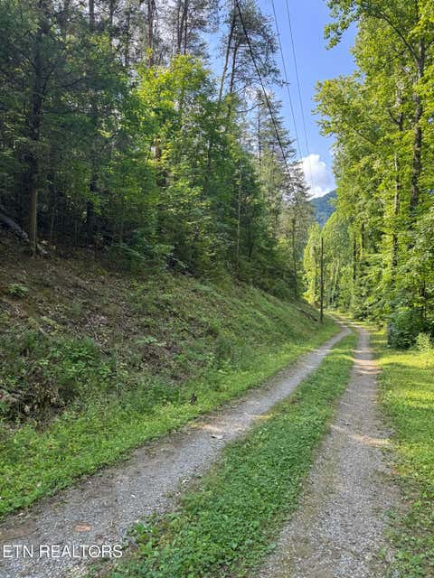 Photo of 23 Walden Ridge Rd, Sevierville, TN 37862 (MLS # 1346176)