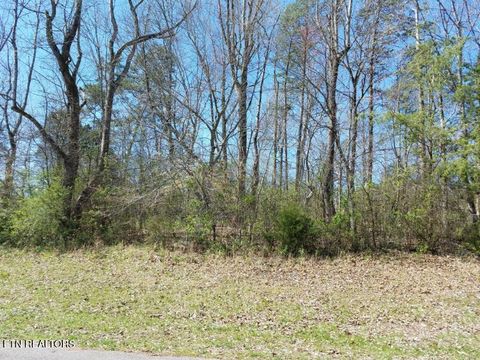 Tiny photo for 216 Montgomery View Drive, Harriman, TN 37748 (MLS # 1332688)
