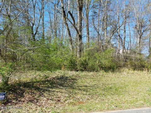 Tiny photo for 216 Montgomery View Drive, Harriman, TN 37748 (MLS # 1332688)
