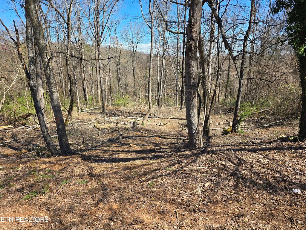 Photo of Orchard Knob Rd, Clinton, TN 37716 (MLS # 1293798)
