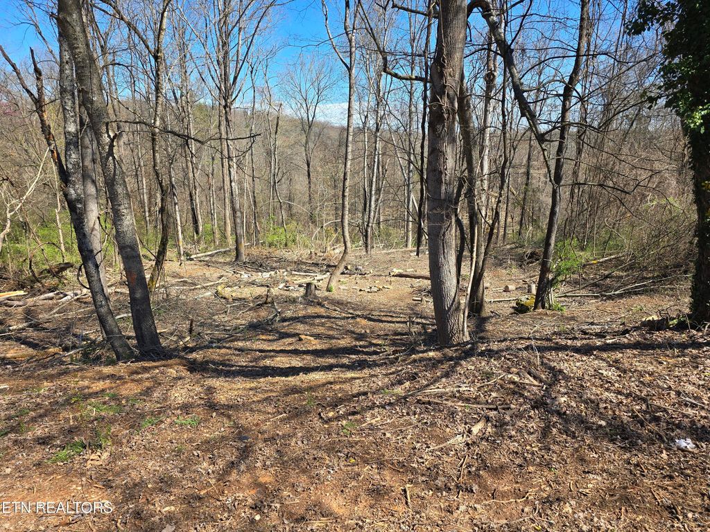 Photo of Orchard Knob Rd, Clinton, TN 37716 (MLS # 1293798)