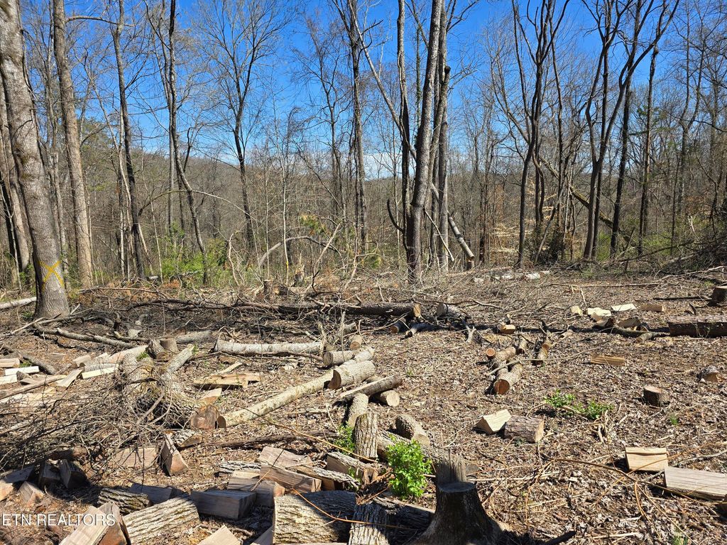 Photo of Orchard Knob Rd, Clinton, TN 37716 (MLS # 1293798)