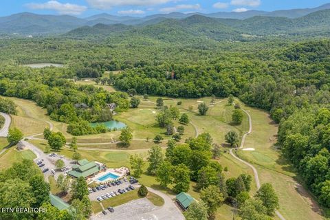 Tiny photo for 102 Cutter Gap Rd, Townsend, TN 37882 (MLS # 1339143)