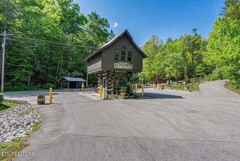 Tiny photo for 102 Cutter Gap Rd, Townsend, TN 37882 (MLS # 1339143)