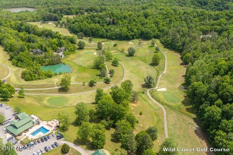 Tiny photo for 102 Cutter Gap Rd, Townsend, TN 37882 (MLS # 1339143)