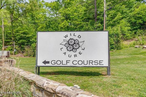 Tiny photo for 102 Cutter Gap Rd, Townsend, TN 37882 (MLS # 1339143)
