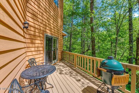 Tiny photo for 102 Cutter Gap Rd, Townsend, TN 37882 (MLS # 1339143)