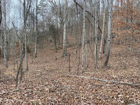 Tiny photo for Timber Creek Rd, New Tazewell, TN 37825 (MLS # 1324576)