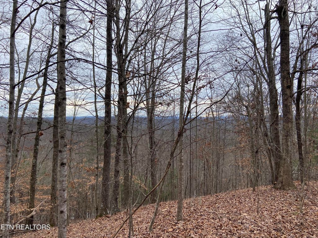 Photo of Timber Creek Rd, New Tazewell, TN 37825 (MLS # 1324576)