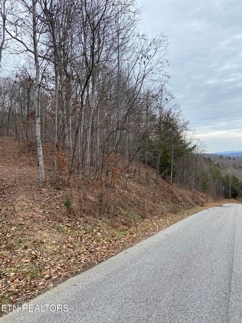 Tiny photo for Timber Creek Rd, New Tazewell, TN 37825 (MLS # 1324576)