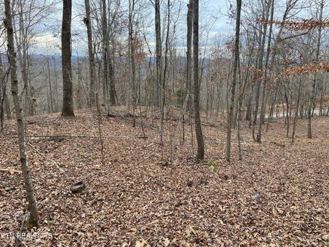 Tiny photo for Timber Creek Rd, New Tazewell, TN 37825 (MLS # 1324576)