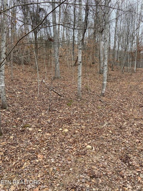 Tiny photo for Timber Creek Rd, New Tazewell, TN 37825 (MLS # 1324576)