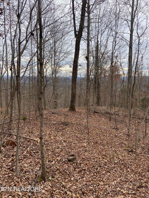 Tiny photo for Timber Creek Rd, New Tazewell, TN 37825 (MLS # 1324576)