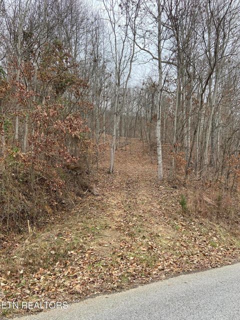 Tiny photo for Timber Creek Rd, New Tazewell, TN 37825 (MLS # 1324576)