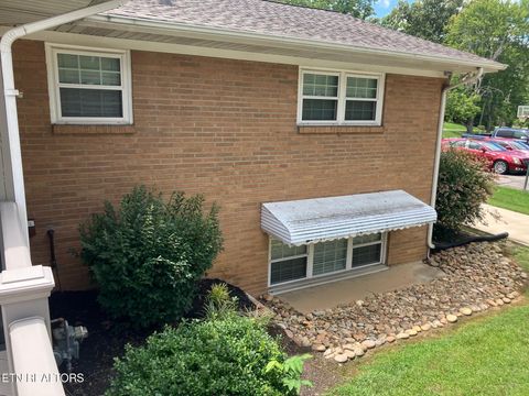 Tiny photo for 7004 Rollins Rd, Knoxville, TN 37918 (MLS # 1348444)