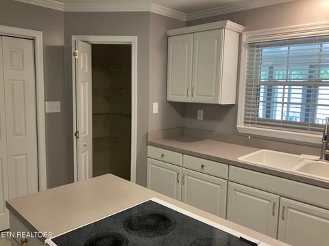 Tiny photo for 7004 Rollins Rd, Knoxville, TN 37918 (MLS # 1348444)