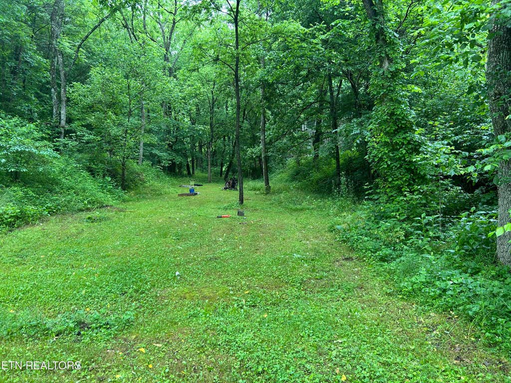 Photo of Carlos Rd, Sneedville, TN 37869 (MLS # 1350919)