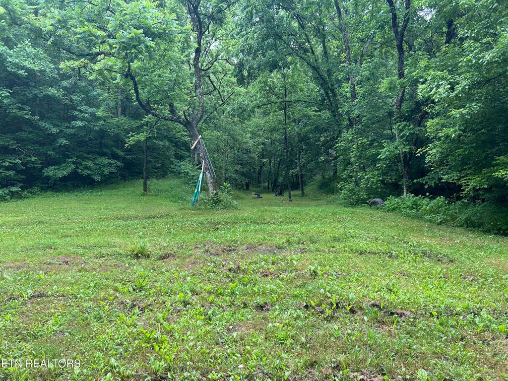 Photo of Carlos Rd, Sneedville, TN 37869 (MLS # 1350919)
