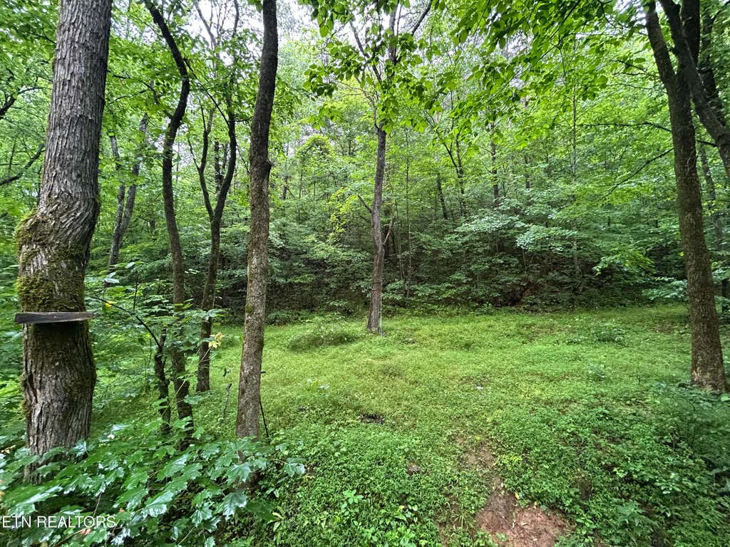Photo of Carlos Rd, Sneedville, TN 37869 (MLS # 1350919)
