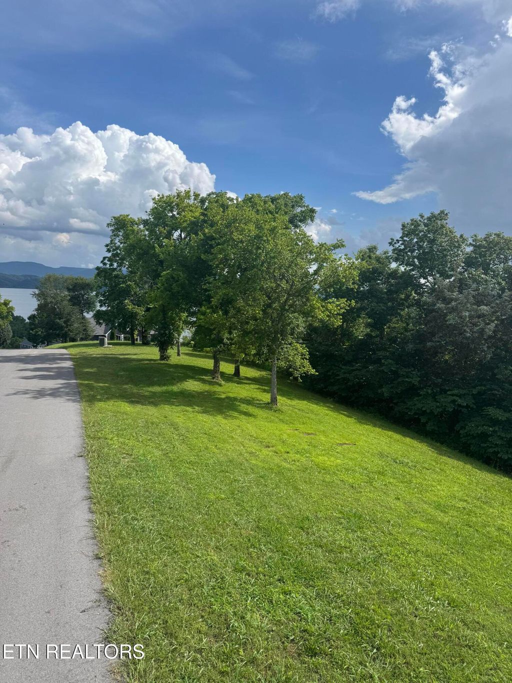 Photo of Ivy Way, Newport, TN 37821 (MLS # 1305014)