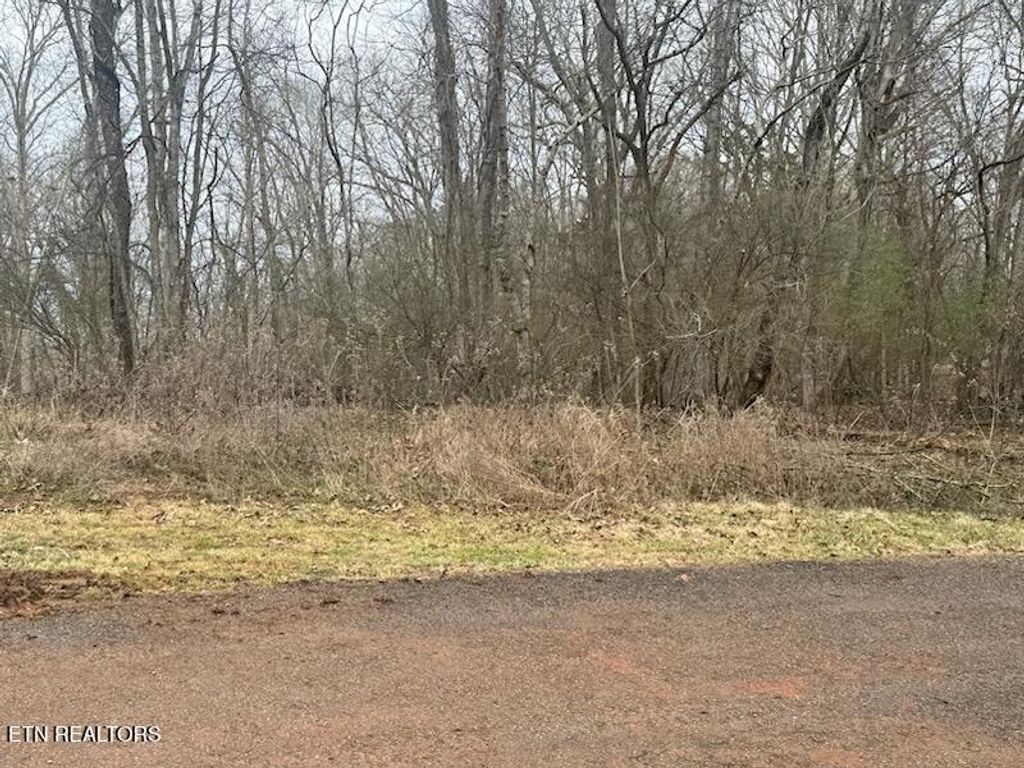 Photo of 110 Eblen Lane, Kingston, TN 37763 (MLS # 1330781)