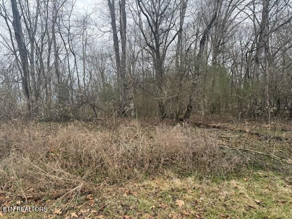 Photo of 110 Eblen Lane, Kingston, TN 37763 (MLS # 1330781)