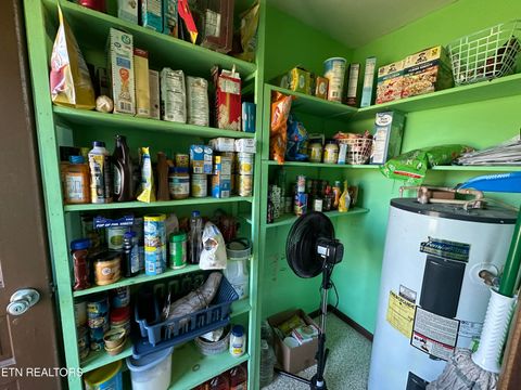 Tiny photo for 2854 Airport Rd, Oakdale, TN 37829 (MLS # 1318172)