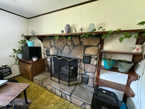 Tiny photo for 2854 Airport Rd, Oakdale, TN 37829 (MLS # 1318172)