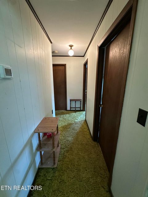 Tiny photo for 2854 Airport Rd, Oakdale, TN 37829 (MLS # 1318172)