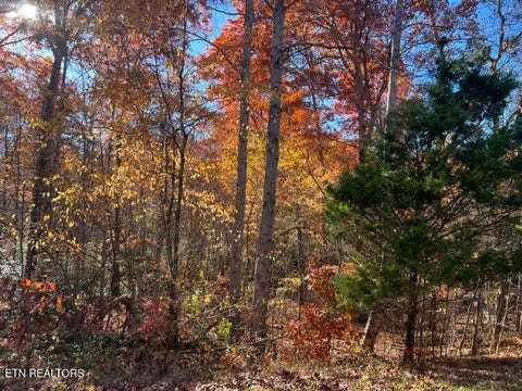 Tiny photo for 9 T Place, Monterey, TN 38574 (MLS # 1359468)