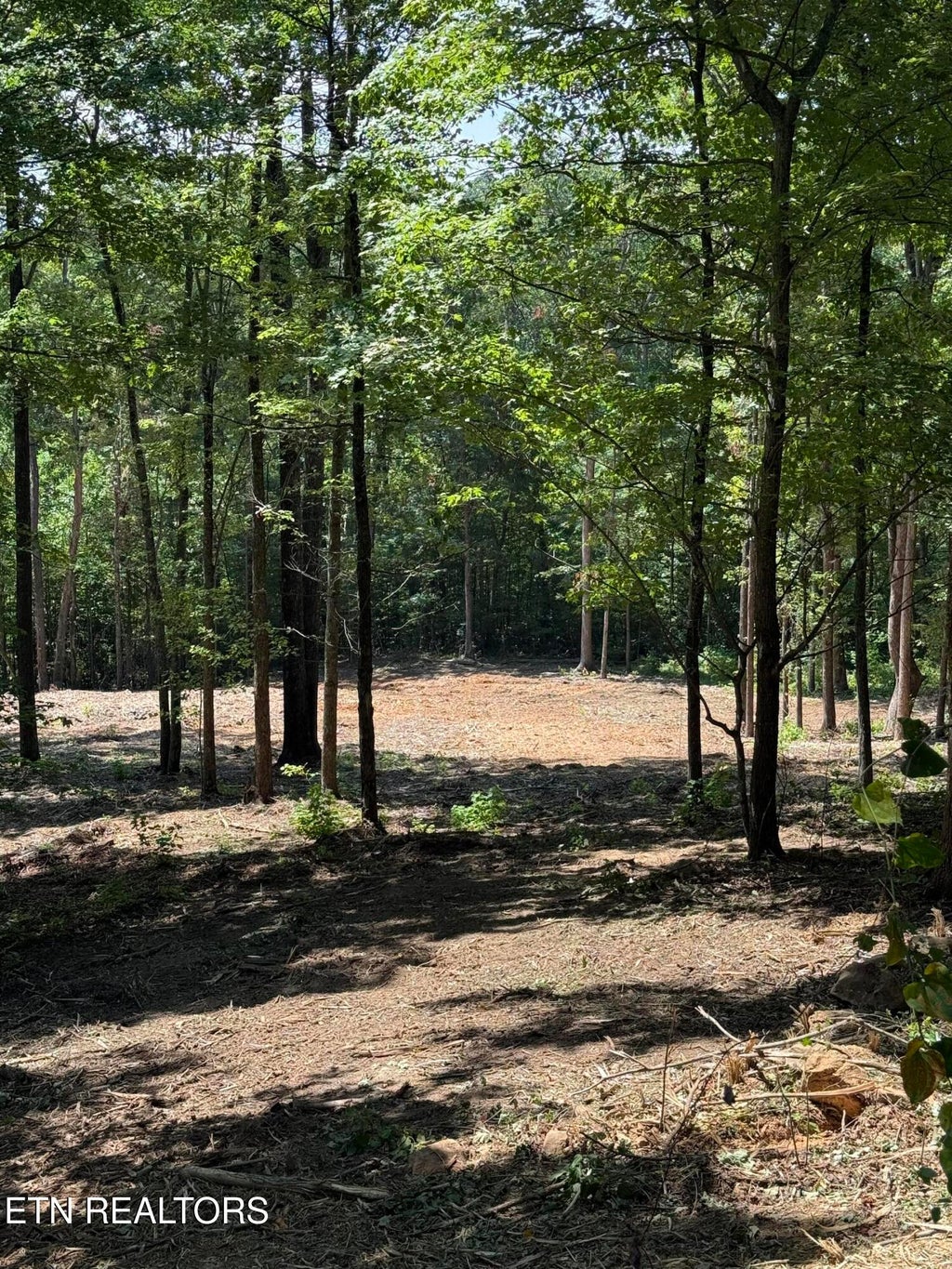 Photo of 150 Mountaineer Tr, Sevierville, TN 37862 (MLS # 1353858)