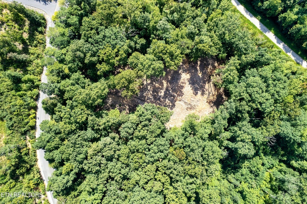 Photo of 150 Mountaineer Tr, Sevierville, TN 37862 (MLS # 1353858)